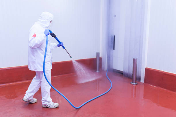 Best Pool Deck Cleaning  in Ponderay, ID